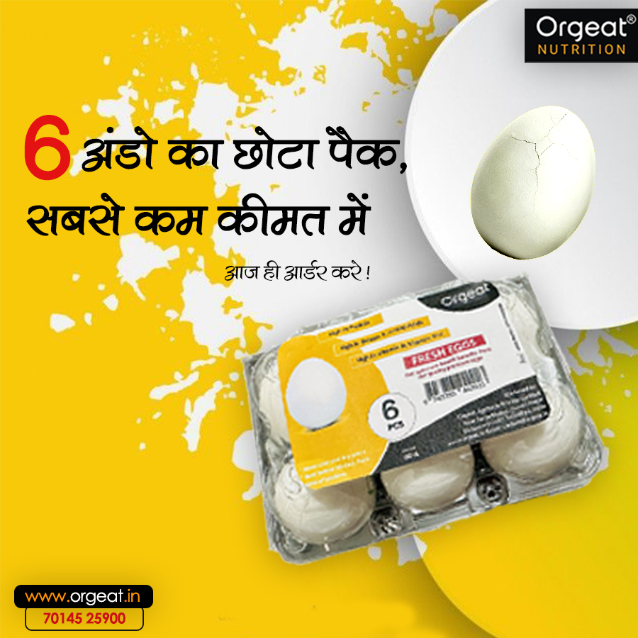 Buy farm fresh best eggs Buy fresh white eggs