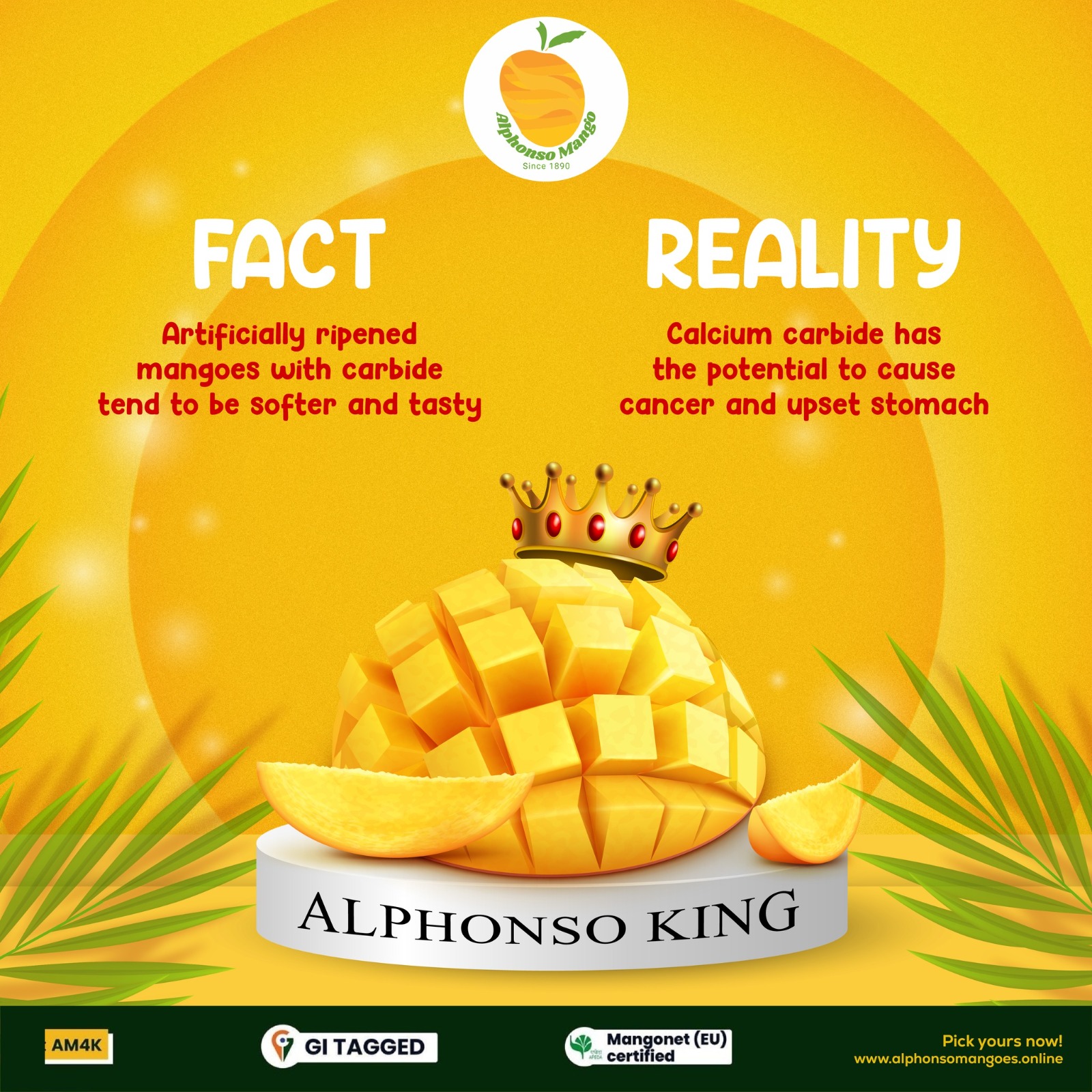 Buy Fresh Alphonso Mangoes And Hapus Mangoes Online in India
