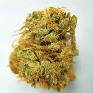 Buy Medical Marijuana Online - Marijuana For Sale