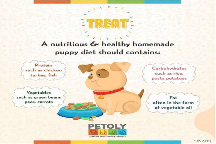 Buy Wet and Dry Dog food Online at Best Price Petoly