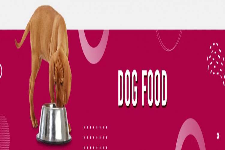 Buy Wet or Dry Dog Food at best price PETOLY