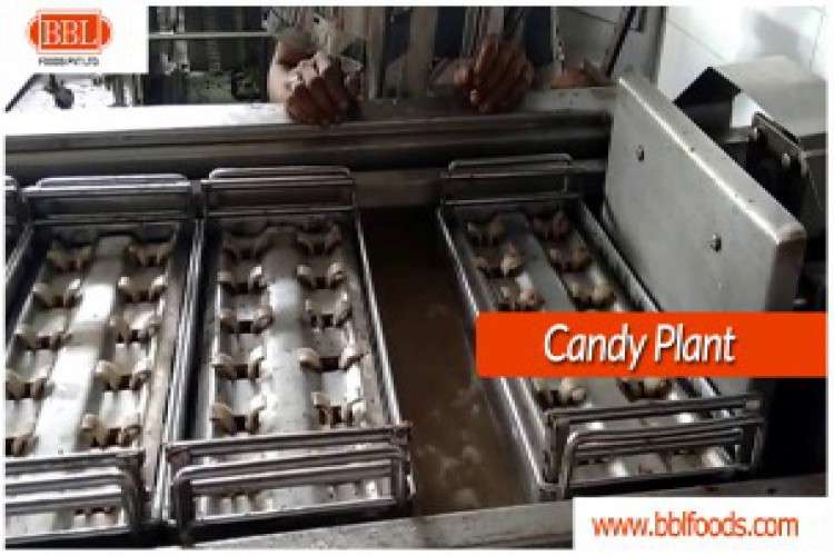 Candy plant Chikkies bar line supplier
