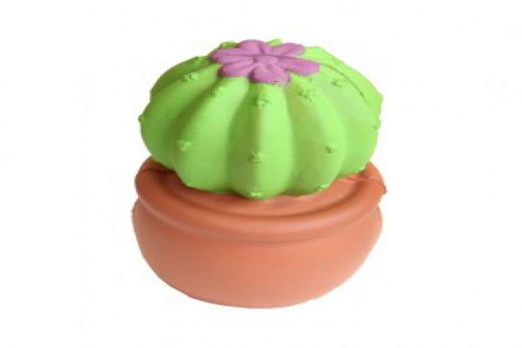 Cixi Jeva Crafts Co Ltd