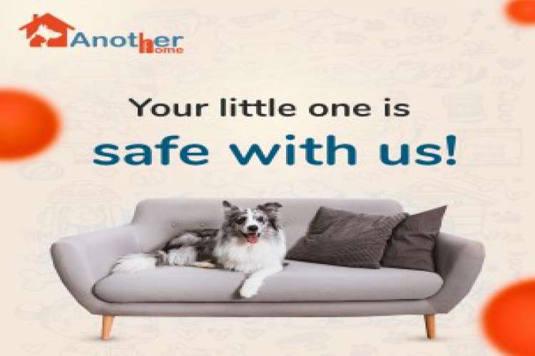 Dog Daycare Facility in New Delhi