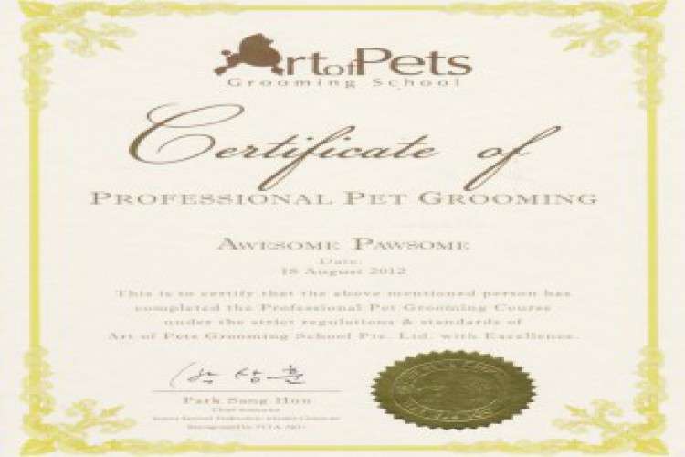 Dog grooming services Singapore