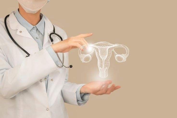 Dr rupali chadha lady doctor whatsapp number in delhi