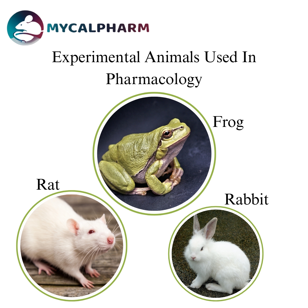 Experimental animals used in pharmacology