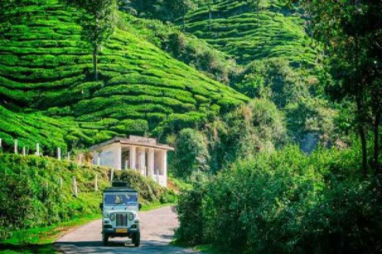 Explore The stunning Munnar For couples