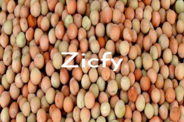 Fried peas wholesalers in Visakhapatnam Andhra pradesh