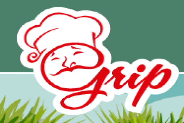 Grip Food Namkeen daliya