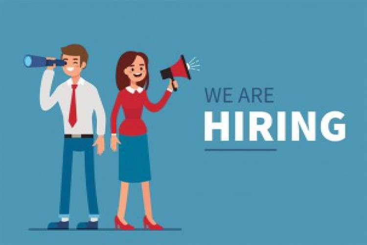 Hiring for a Website Designer