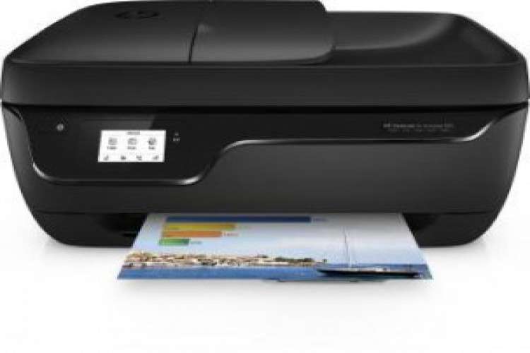 Hp Printer Not Printing