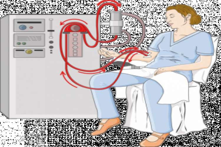 Kidney Transplant Physician in Ahmedabad