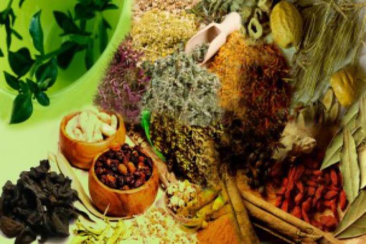 List of Top Ayurvedic PCD Companies in India