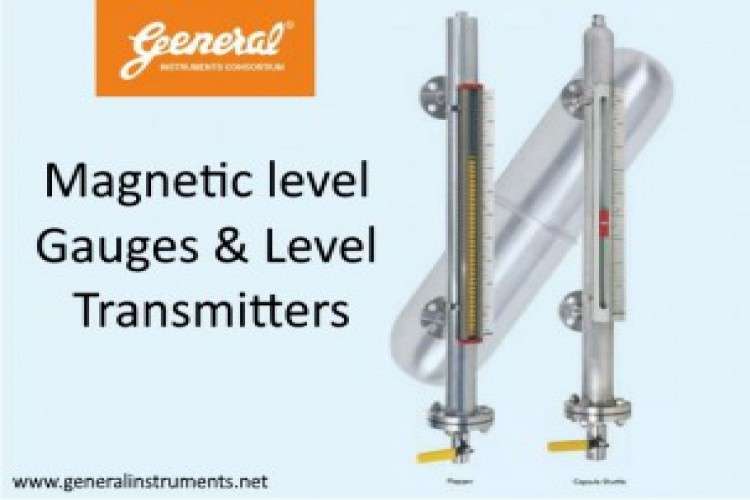 Magnetic level gauges and Level Transmitters Manufacturers
