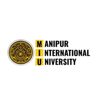 Manipur international university