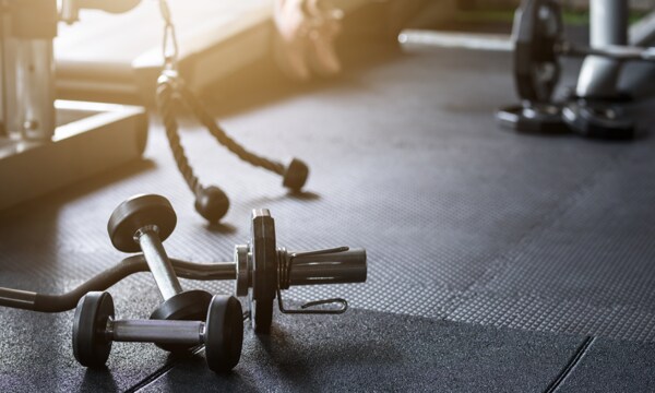 Most searched gym equipment manufacturers in india