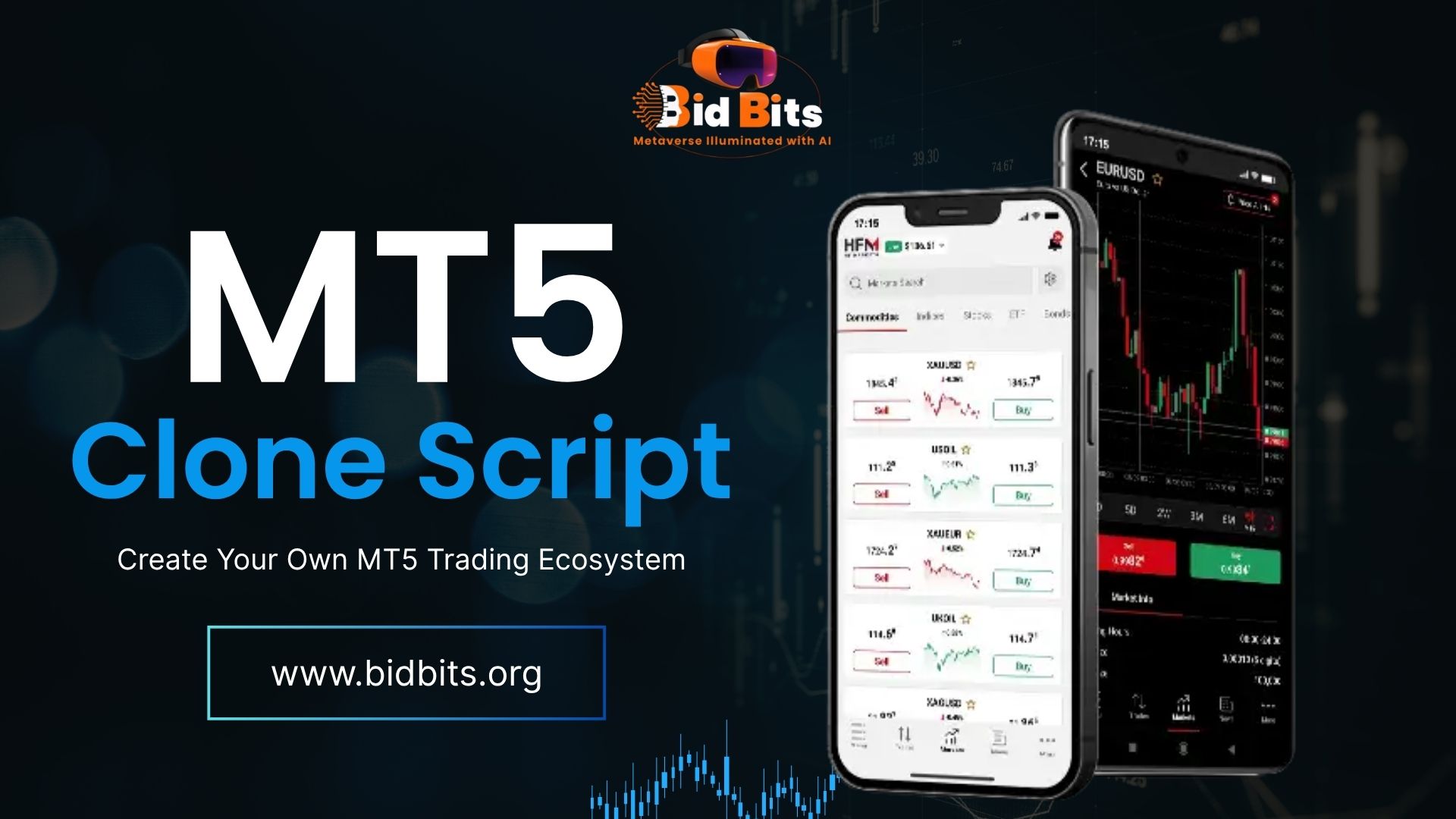 MetaTrader clone script provider in usa