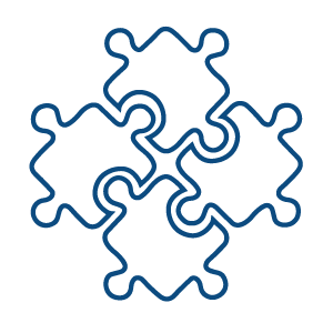 Odoo Integration Technaureus