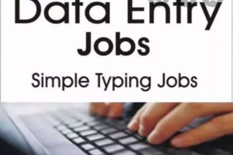 Online data entry work