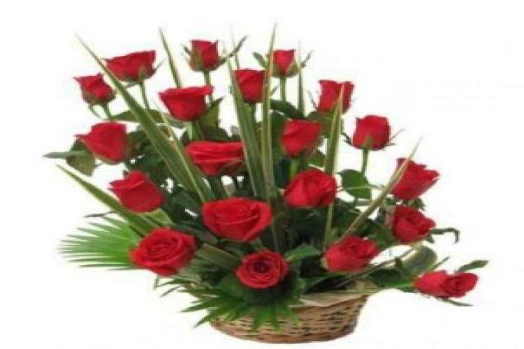 Online Gifts at Lowest Prices with exciting Offers and Discounts
