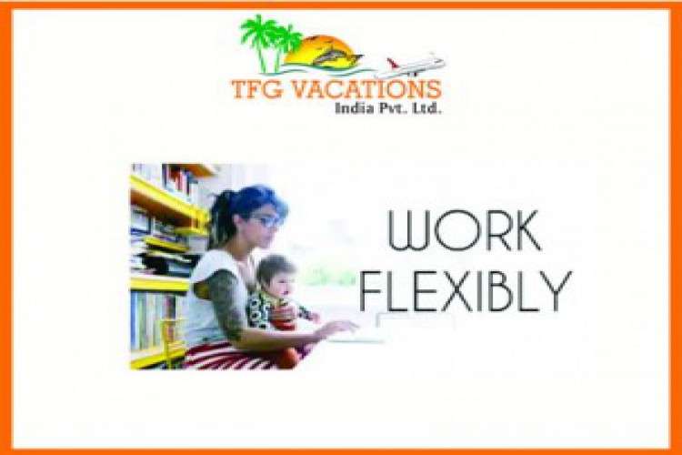 Online Marketing Work in Tourism Company Required Fresher