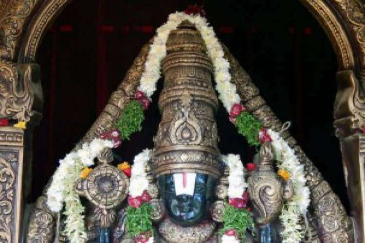 Padmavathi Travels   One day package from chennai to tirupati