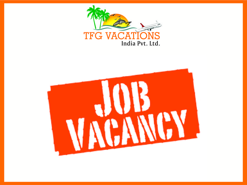 Part Full Time Home Based Internet Work on Tour  Travel Company