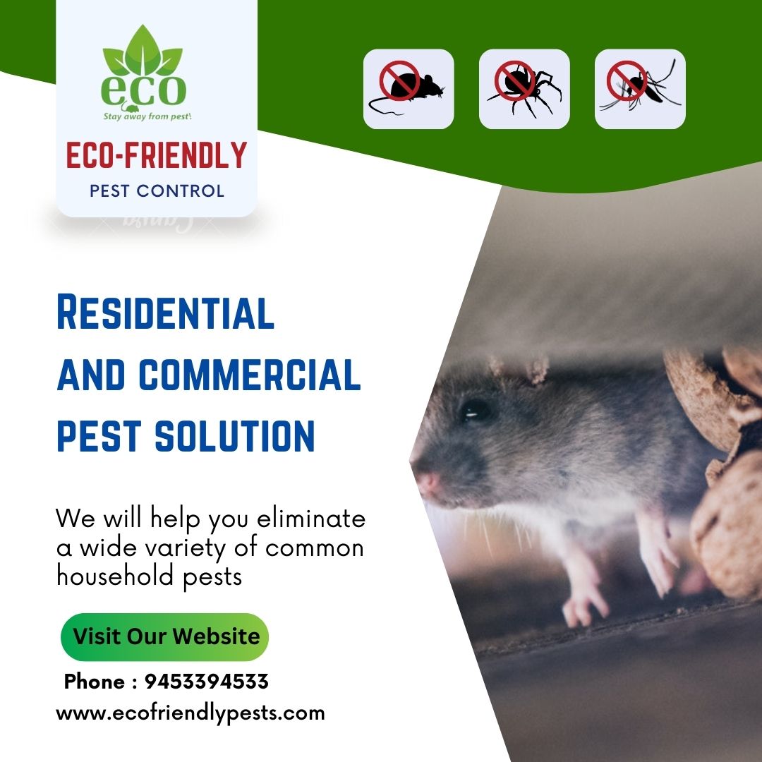 Pest Control Services In mumbai