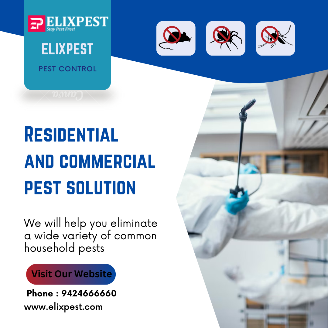 Pest Control Services In Pune