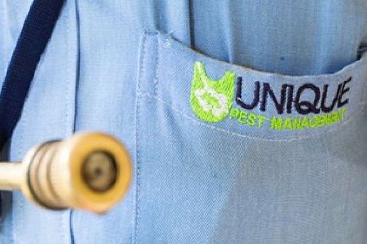 Pest control Services