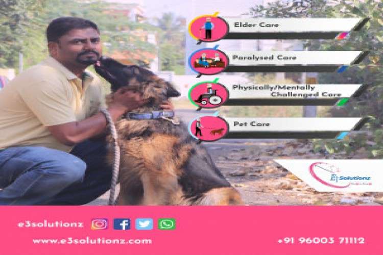 PetDayCare and PetGrooming