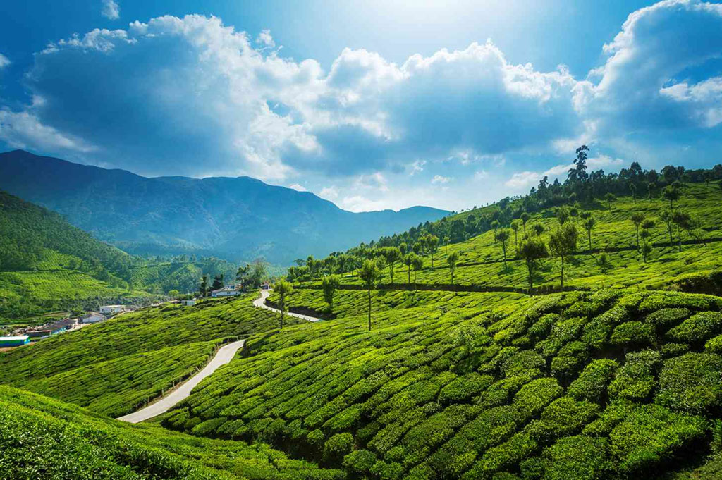 Plan your trip to kerala budget packages by orangeclub india