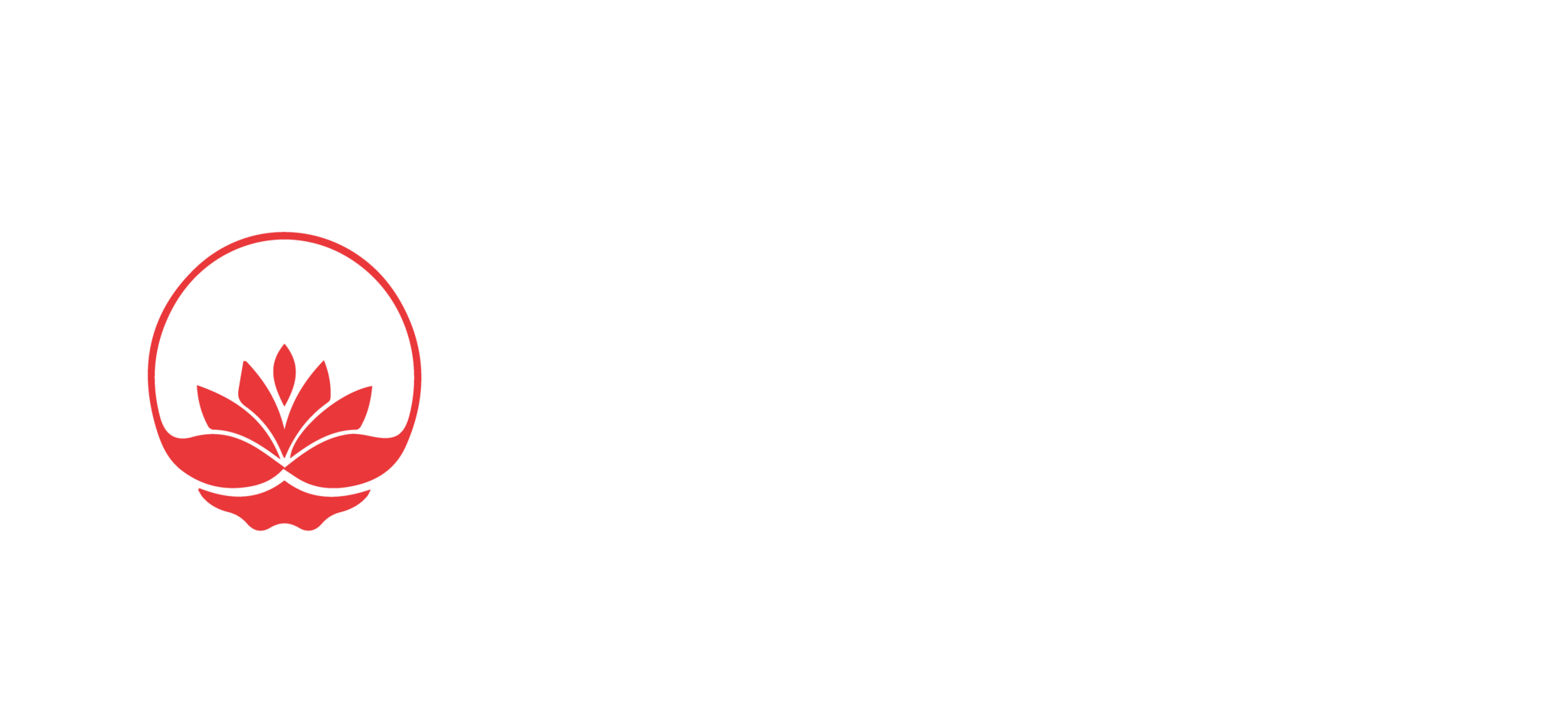 Plywood Suppliers in Chennai