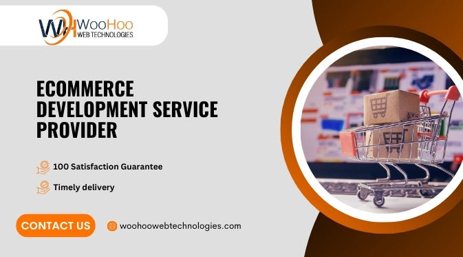 Professional ecommerce development service provider