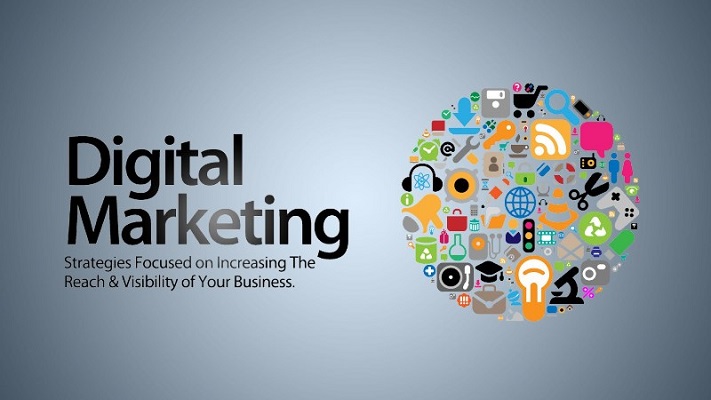 Professional seo experts in india