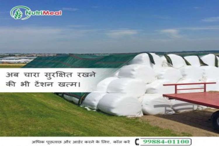 Punjab Silage Private Limited