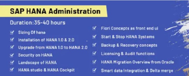 sap MM online training in Mumbai