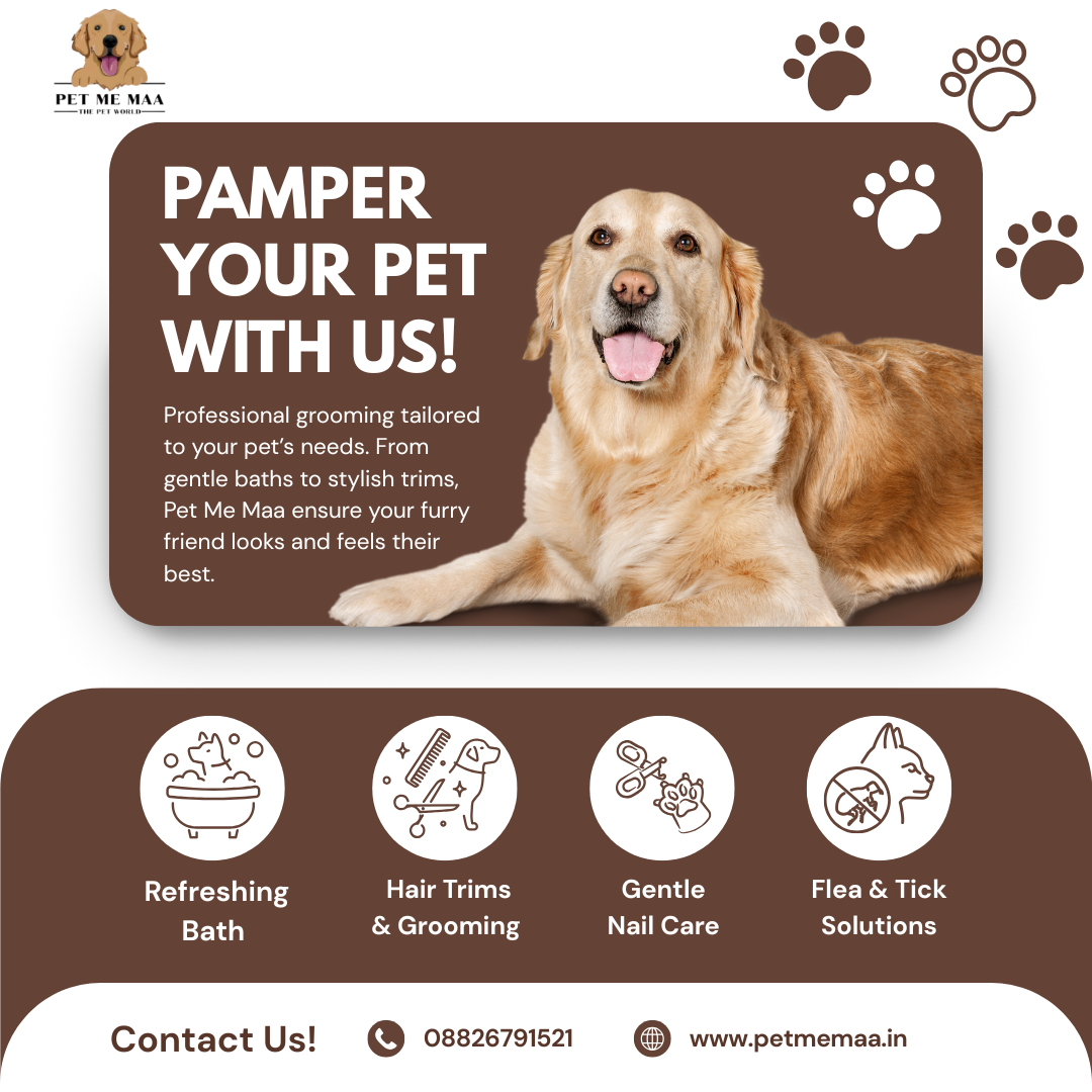 Search for the best puppy daycare near me choose pet me maa