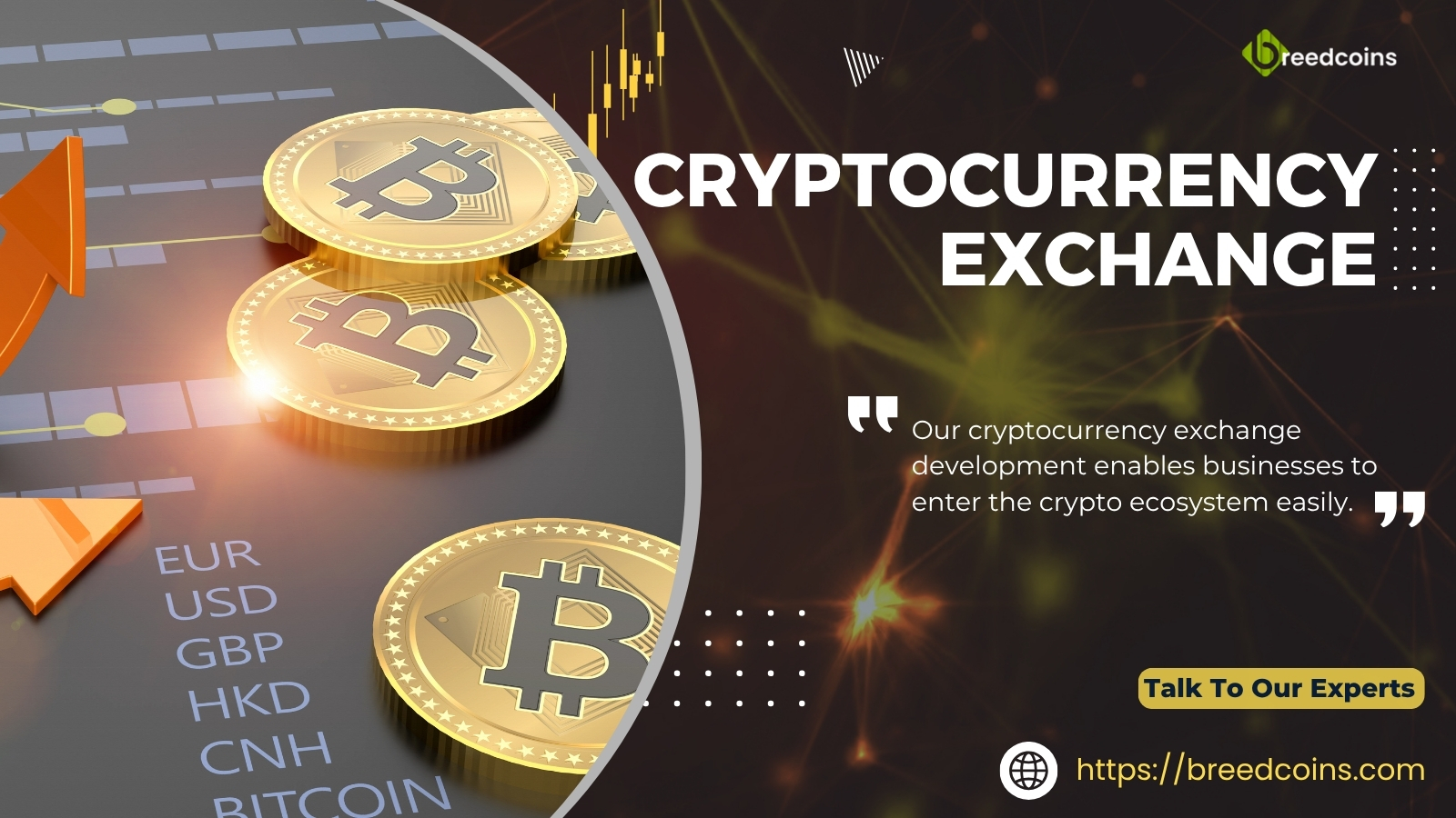 Searching for a reliable cryptocurrency exchange development