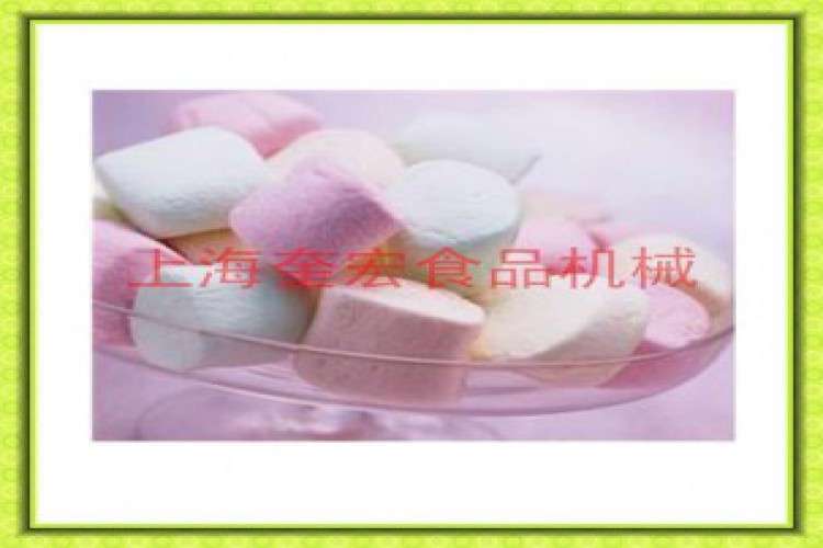 Shanghai waifan food machinery Co ltd
