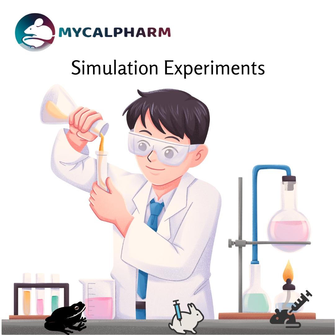 Simulation experiments