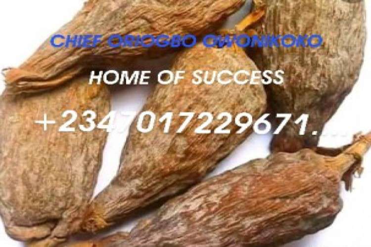 The best real powerful spiritual herbalist and native doctor