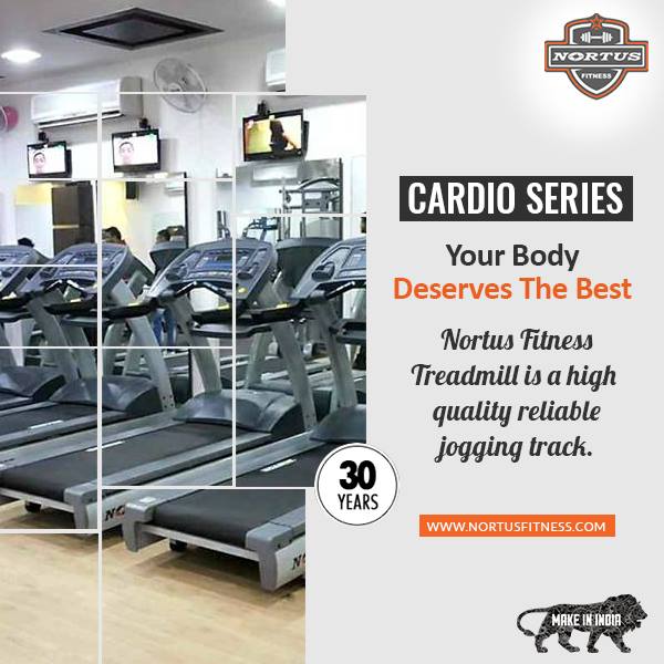 TOP GYM EQUIPMENT EXPORTER IN INDIA