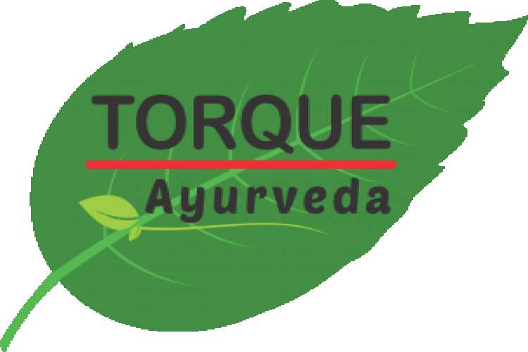Torque Ayurveda   The Top Most Ayurvedic Products Company in India