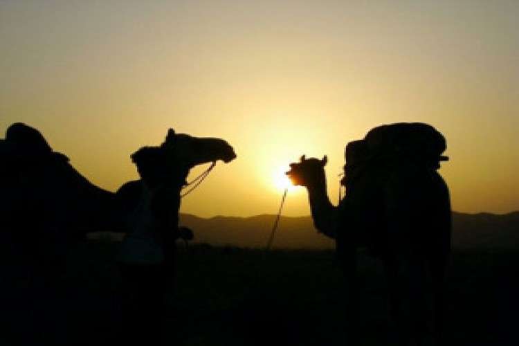 Travel Agency in Jaipur