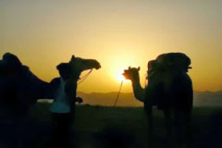 Travel Agents in Jaipur