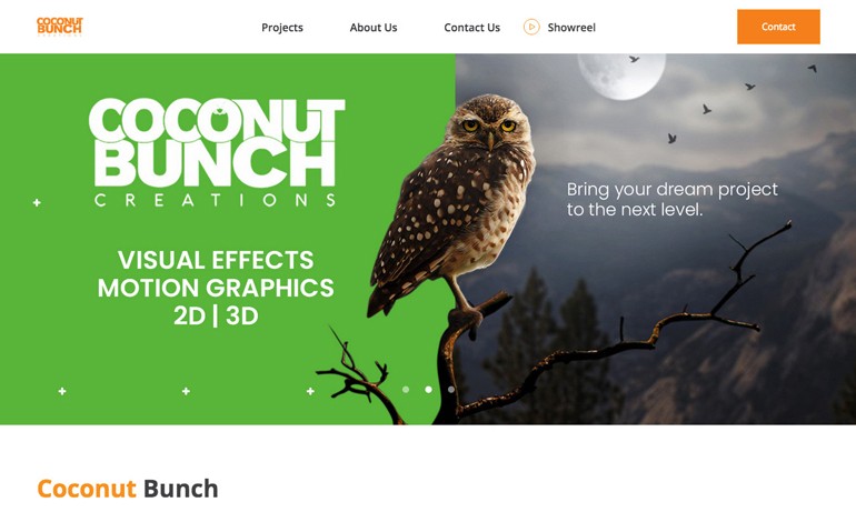 vfx and motion graphics services