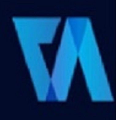 Virtual auditor pvt ltd 