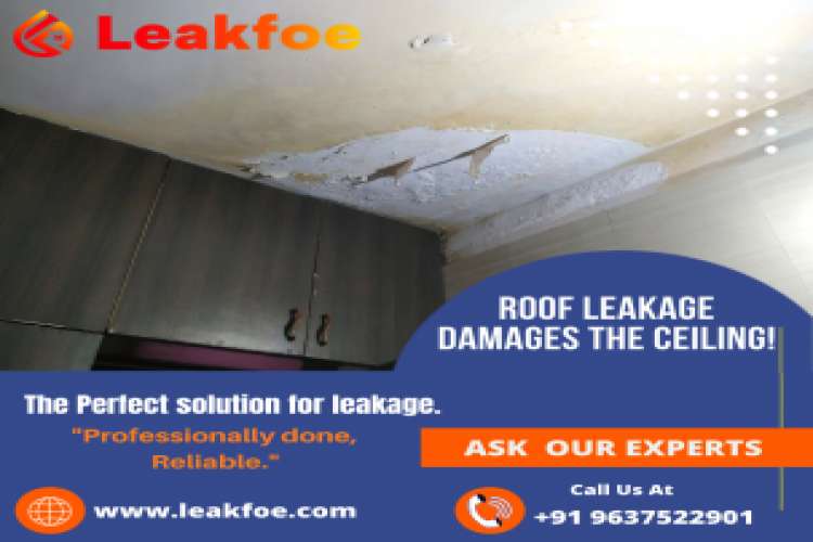 Waterproofing experts